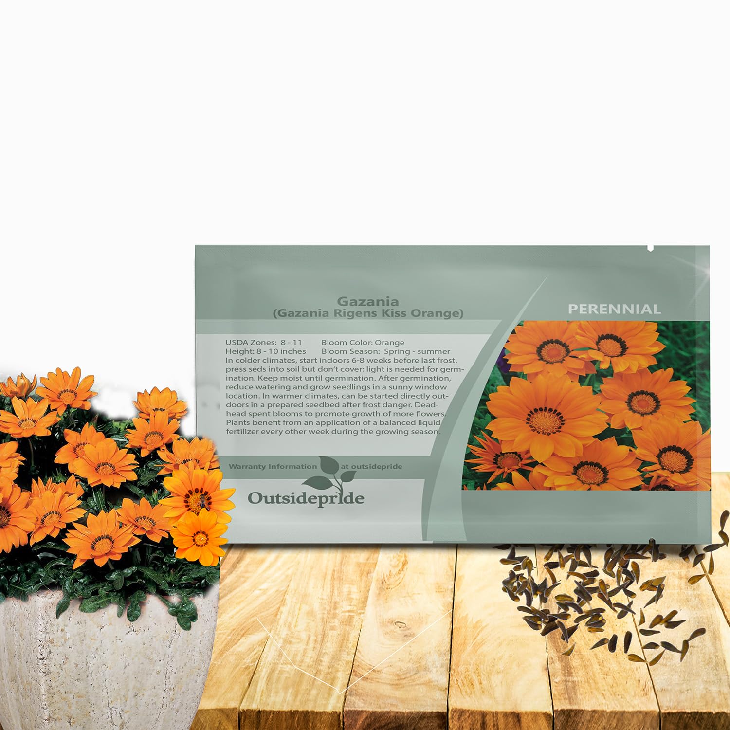 Amazon.com : Outsidepride Kiss Orange Gazania Seeds for Planting